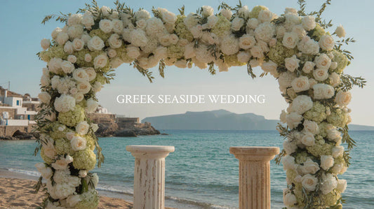 Plant & Design Studio